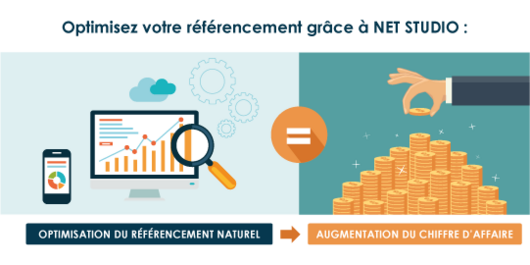 Référencement naturel, améliorer visibilité site internet - NET STUDIO